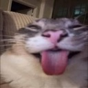 catliem2 custom emote | 𝘙𝘌𝘈𝘓𝘐𝘛𝘠 𝘈𝘞𝘈𝘐𝘛𝘚... but after 24.7