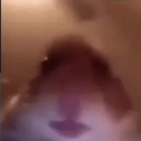 emoji_10 Discord Emoji - 𓆩⟡『𝐍𝐎𝐗𝐈𝐒』⟡𓆪