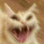 NHM_hhhh Discord sticker | 𝐕𝐀𝐋𝐂𝐎𝐍 𝐂𝐀𝐒𝐓𝐋𝐄