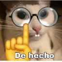 A cat wearing glasses with a yellow finger pointing up and the text De hecho below it.