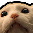 catpeak Discord Emoji from ⁽¹⁸⁺⁾ miao ୨ৎ
