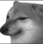 Doggy_stare Discord Emoji - ୨ Caféx ୧／Social  ﹒ International ﹒Nitro﹒pfps﹒Fun (Masti)