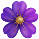 A purple flower with five petals and a golden center.