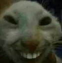 111 Discord Emoji | افكورس نو بروبلم