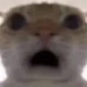 shock Discord Emoji - 𝔗𝔥𝔢 𝚨𝖇𝖘𝖚𝖗𝖉𝖎𝖘𝖙𝖘 ™