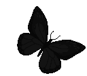butterfly animated Discord emote | 𖤐 ᴴᴵᴾˢᵀᴱᴿ 𖤐