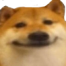 dogeface custom emote | The Z's
