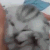 yayhawar animated Discord emote - Lemniscate Network