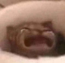 s10 custom emote | 𝕊ℙ𝔸ℂ𝔼