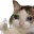 okaye Discord Emoji from SSKillCode's ™