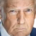 trumpstern custom emote | HTSA | LGBTQ • Tunisia • Friendly • Gay