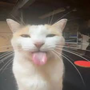 images_28 custom emote from Vine(yl)💽
