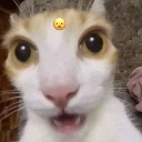 HY_Huh custom emote from 𝐀𝐒𝐃