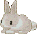 Shoshi animated GIF emoji | Jewish Community