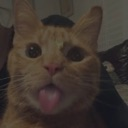 emoji_1 custom emote | 𝗖𝗵𝗲𝗹𝘀𝗲𝗮 𝗙𝗖┃𝗘𝗨┃𝗦2