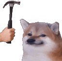 dog_hammer animated emote - DM Request 📪 ⌇ Ask To DM & Chatting ⌇ Non Dating ⌇ Social ⌇ Friendly ⌇ Nitro ⌇Non Toxic