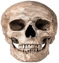 skullxd Discord sticker from 300dB [Uptempo/Krach]