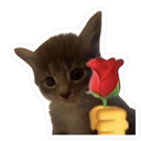 emoji_23 Discord Emoji - ✧･ﾟ: ✧ 𝑺𝒕𝒂𝒓𝑬𝒏𝒕𝒆𝒓𝒏𝒂𝒍 ✧ :･ﾟ✧