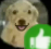 approved Discord sticker - The MOON haunts me