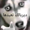 emoji_11 Discord sticker from سيرفير صيانة
