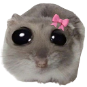 A gray hamster with large, glossy eyes and a small pink bow on its head.