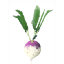 turnip Discord sticker - Valheim RU