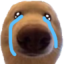 dawgcry Discord Emoji - || mongrel mutts