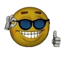 verycool Discord sticker from BDRP I Border Roleplay