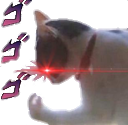 CatDio Discord Emoji | DA COOKOUT