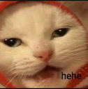 hehecat custom emote from Autism Mansion