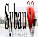 Sybau custom emote - Custom stickers