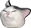 CatSmug custom emote - Advertise Your Servers📺