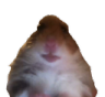 hampter_wot Discord sticker from Heart.exe