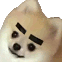 doggo animated Discord emote from Mirror Universe