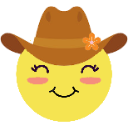 cowgirlmoji Discord sticker - ☆𝕊𝕥𝕒𝕣𝕝𝕚𝕘𝕙𝕥 𝕀𝕟𝕟☆