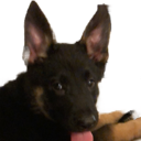 Kaiser custom emote - Autism Mansion
