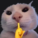 shhh custom emote - FriendZone | Make Friends & Chat ⋅ Active Social Fun ⋅ Chill ⋅ VC
