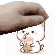 A realistic hand repeatedly taps a small, white, cute cat holding a boba tea on its head.