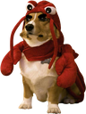 angy custom emote | Voice Chat Games | Minecraft Livestreams & Events