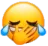 emoji_74 Discord sticker from • ꒰ Sᴛᴀʀ Fᴀᴍɪʟʏ Zᴏɴᴇ ꒱ •