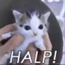 Halp custom emote | 💖Twinkhub🩵