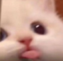 Acat_bleh Discord Emoji from eCafe 🌸 |  Indian Discord Server・Hangout・Guild Tag ・ Chilling・Voice Chat・Gaming ・India