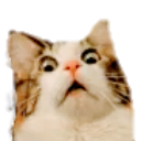 emoji_58 custom emote | ᑕᕼIᒪᒪ 乙OᑎE 🦋 || ᑕᕼIᒪᒪ ᑕOᗰᗰᑌᑎITY