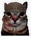 A cat wearing a military helmet with a serious, battle-worn expression and a hint of red on its face.