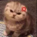 399808kittymad custom emote | Chi on air
