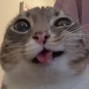 nah custom emote - Phà Miền Tây V1🛳