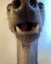 Doggy_Lick animated emote - DM Request 📪 ⌇ Ask To DM & Chatting ⌇ Non Dating ⌇ Social ⌇ Friendly ⌇ Nitro ⌇Non Toxic