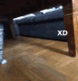 xd animated Discord emote from Vine(yl)💽