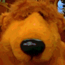 Bear from Bear in the Big Blue House slowly zooming in until only his nose is visible.