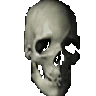 SpinningSkull animated emote - Fantasy *:･ﾟ|| Make Friends . Emotes . Chatting ✧*:･ﾟ